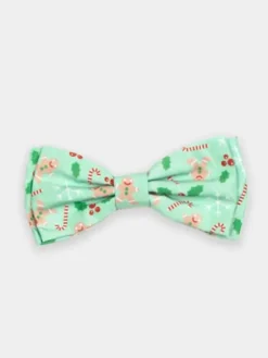 Nœud papillon pour chien - Pain épices vert - The Worthy Dog
