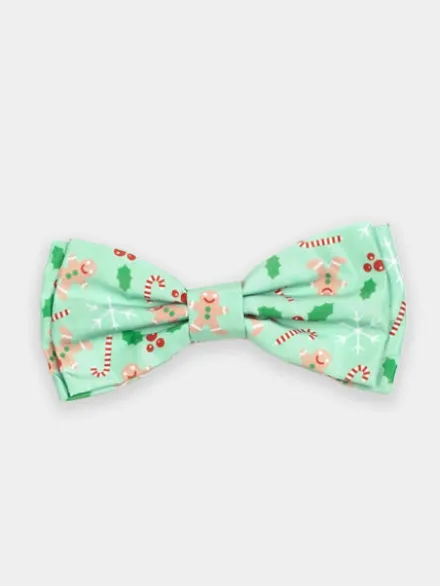 Nœud papillon pour chien - Pain épices vert - The Worthy Dog