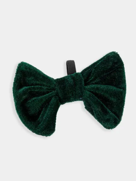 Nœud papillon pour chien - Velours Vert 🎀 - House of Paws