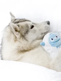 Ollie le Yeti - Peluche pour chien