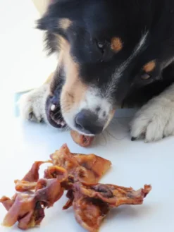 Oreilles de porc en lamelle à mâcher pour chien