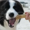 Os à mâcher pour chien - Boeuf 🐂 Kiwi et Coco - Syta Micha