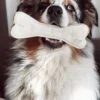 Os à mâcher XL pour chien - Boeuf 🐂 - Syta Micha