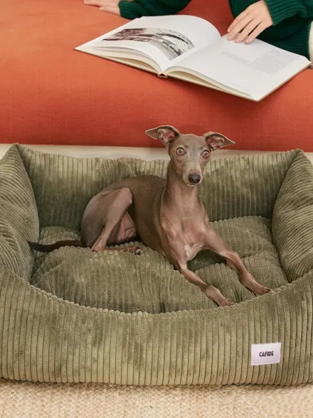 Panier pour chien Snozy - Velours côtelé vert - Cafide