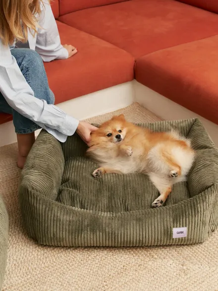 Panier pour chien Snozy - Velours côtelé vert - Cafide