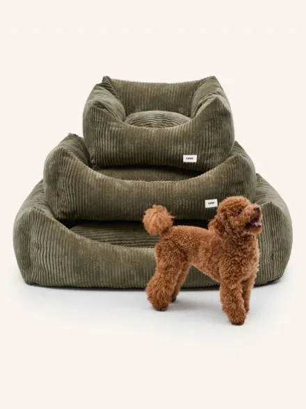 Panier pour chien Snozy - Velours côtelé vert - Cafide