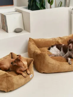 Panier pour chien Snozy - Velours côtelé moutarde - Cafide