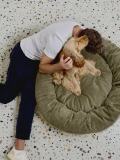 Panier rond pour chien Nuba - Velours côtelé vert - Cafide