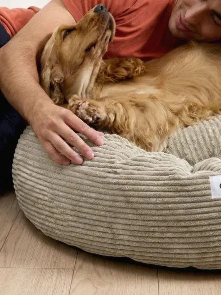 Panier rond pour chien Nuba - Velours côtelé beige - Cafide