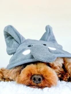 Peignoir de séchage pour chien - Éléphant 🐘 - Cocopup London