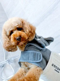 Peignoir de séchage pour chien - Éléphant 🐘 - Cocopup London