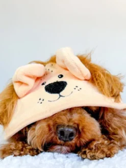 Peignoir de séchage pour chien - Lion 🦁 - Cocopup London
