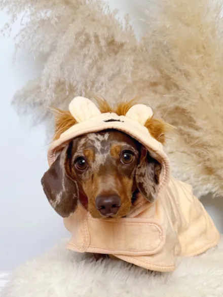 Peignoir de séchage pour chien - Lion 🦁 - Cocopup London