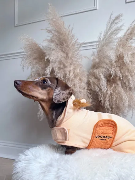 Peignoir de séchage pour chien - Lion 🦁 - Cocopup London