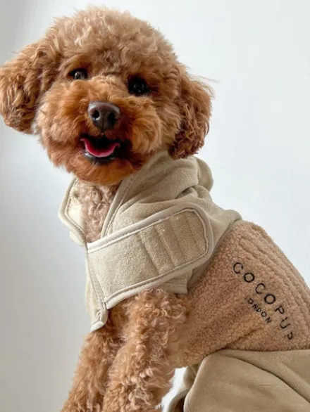 Peignoir de séchage pour chien - Teddybear 🐻 - Cocopup London