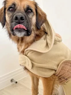 Peignoir de séchage pour chien - Teddybear 🐻 - Cocopup London