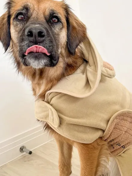 Peignoir de séchage pour chien - Teddybear 🐻 - Cocopup London