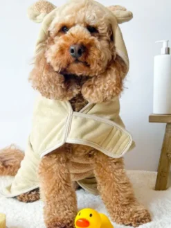 Peignoir de séchage pour chien - Teddybear 🐻 - Cocopup London