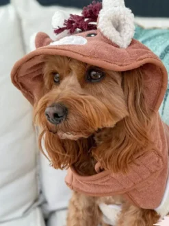 Peignoir de séchage pour chien - Vache des Highland 🐮 - Cocopup London