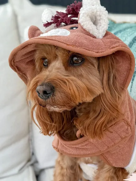 Peignoir de séchage pour chien - Vache des Highland 🐮 - Cocopup London