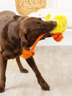 Peluche avec corde pour chien - Poussin - Fringe PetShop