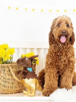Peluche avec corde pour chien - Dino chocolat - Fringe PetShop