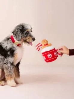 Peluche de Noël pour chien - Chocolat chaud et Pain d'épices - The Foggy Dog