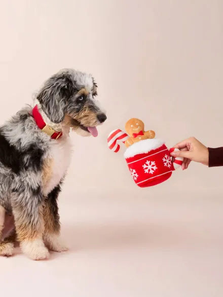 Peluche de Noël pour chien - Chocolat chaud et Pain d'épices - The Foggy Dog