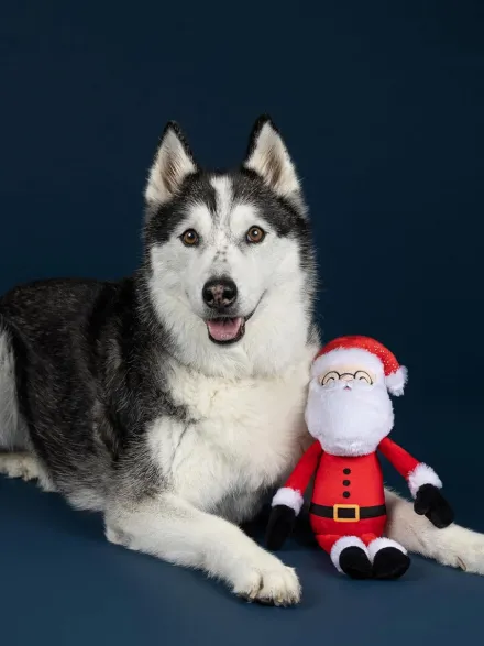 Peluche de Noël pour chien - Père Noël 🎅 - Fringe Petshop