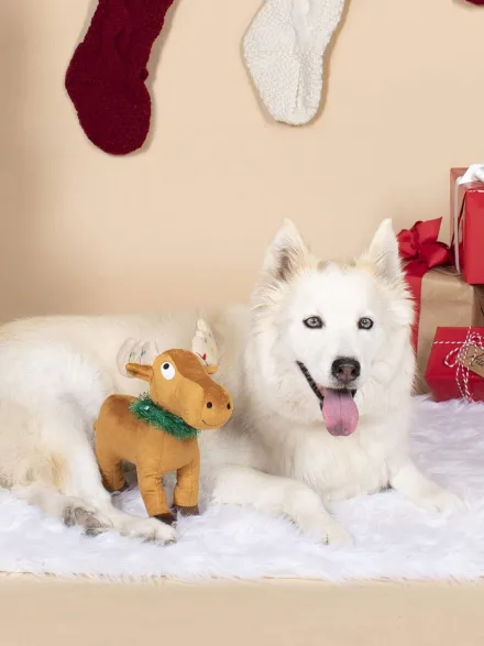 Peluche de Noël pour chien - Renne de Noël 🦌 - Fringe Petshop