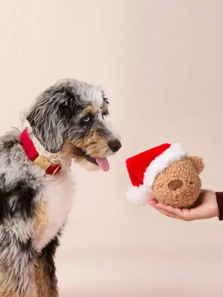 Peluche de Noël pour chien - Santa Bear 🐻🎅 - The Foggy Dog
