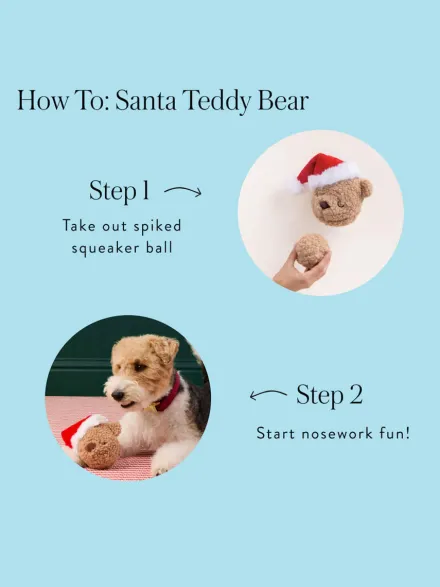 Peluche de Noël pour chien - Santa Bear 🐻🎅 - The Foggy Dog