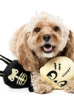 Peluche d'halloween pour chien - Squelette étirable 💀 - FuzzYard