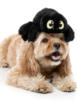 Peluche d'halloween pour chien - Tarentule rouge 🕷️ - FuzzYard