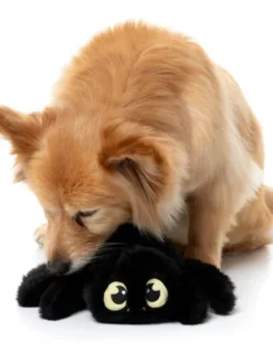 Peluche d'halloween pour chien - Tarentule rouge 🕷️ - FuzzYard
