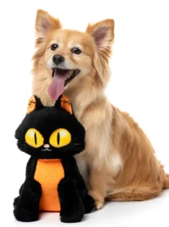 Peluche d'halloween pour chien - Chat noir 🐈‍⬛ - FuzzYard