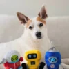 Peluche 2-en-1 pour chien - Alien Buddies Robo-Rover - Pet PLAY