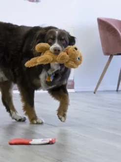 Peluche KONG pour chien - KONG Comfort Pups