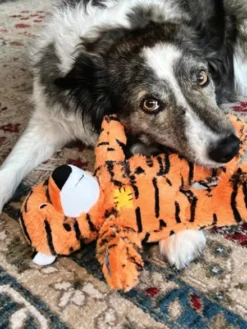 Peluche KONG Tigre pour chien - Wild Knots Tiger 🐯 M/L