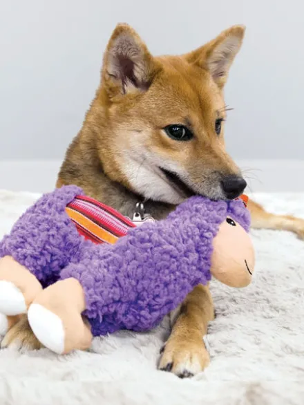 Peluche Llama pour chien - KONG Sherps Llama
