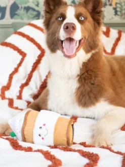 Peluche originale pour chien - Puppaccino ☕ Nomnomz - Zippy Paws