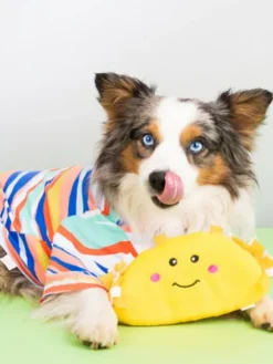 Peluche originale pour chien - 🌮 Tacos Nomnomz - Zippy Paws