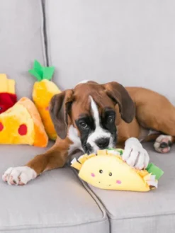 Peluche originale pour chien - 🌮 Tacos Nomnomz - Zippy Paws