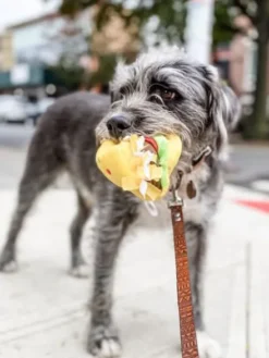 Peluche originale pour chien - 🌮 Tacos Nomnomz - Zippy Paws