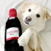 Peluche originale pour chien - Bouteille de vin rouge 🍷 - Zippy Paws