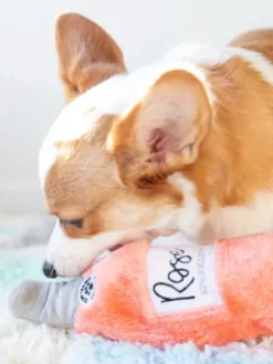 Peluche originale pour chien - Bouteille de Rosé 🍷 - Zippy Paws