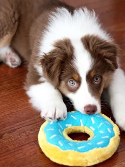 Peluche originale pour chien - 🍩 Donutz Fraise - Zippy Paws