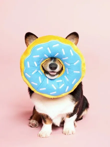 Peluche originale pour chien - 🍩 Donutz Fraise - Zippy Paws
