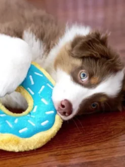 Peluche originale pour chien - 🍩 Donutz Myrtille - Zippy Paws