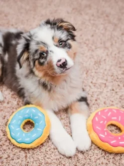 Peluche originale pour chien - 🍩 Donutz Myrtille - Zippy Paws